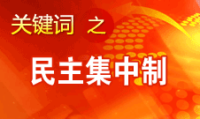 王京清：貫徹民主集中制是我們黨最大的制度優(yōu)勢