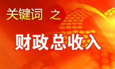 張平：今年財政總收入估計超過11萬億