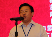 國(guó)際旅游投資協(xié)會(huì)副會(huì)長(zhǎng)、巔峰智業(yè)首席顧問(wèn)劉鋒