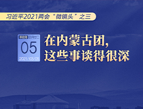 習(xí)近平2021兩會(huì)“微鏡頭”之三 3月5日 在內(nèi)蒙古團(tuán)，這些事談得很深
