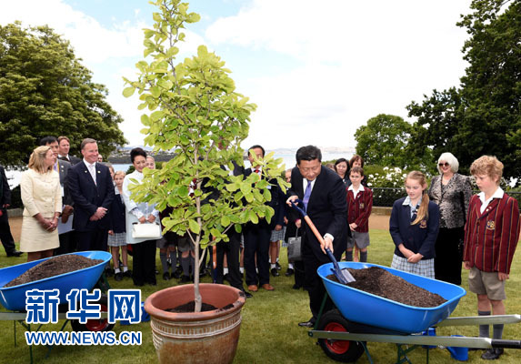 11月18日，國家主席習(xí)近平在澳大利亞塔斯馬尼亞州與朗塞斯頓市斯科奇－歐克伯恩小學(xué)的小學(xué)生共同植樹。新華社記者 饒愛民 攝