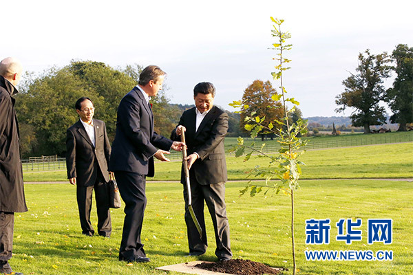 兩國領(lǐng)導(dǎo)人一同在別墅草坪，共同種下象征中英友誼的橡樹。新華社記者 鞠鵬 攝