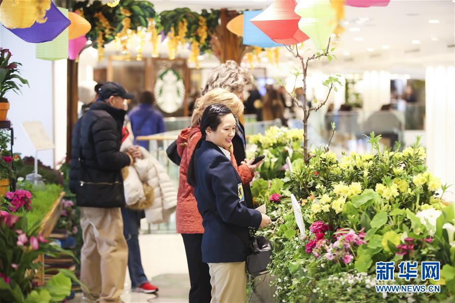 （國際）（6）紐約：“春日童話”花展亮相梅西百貨