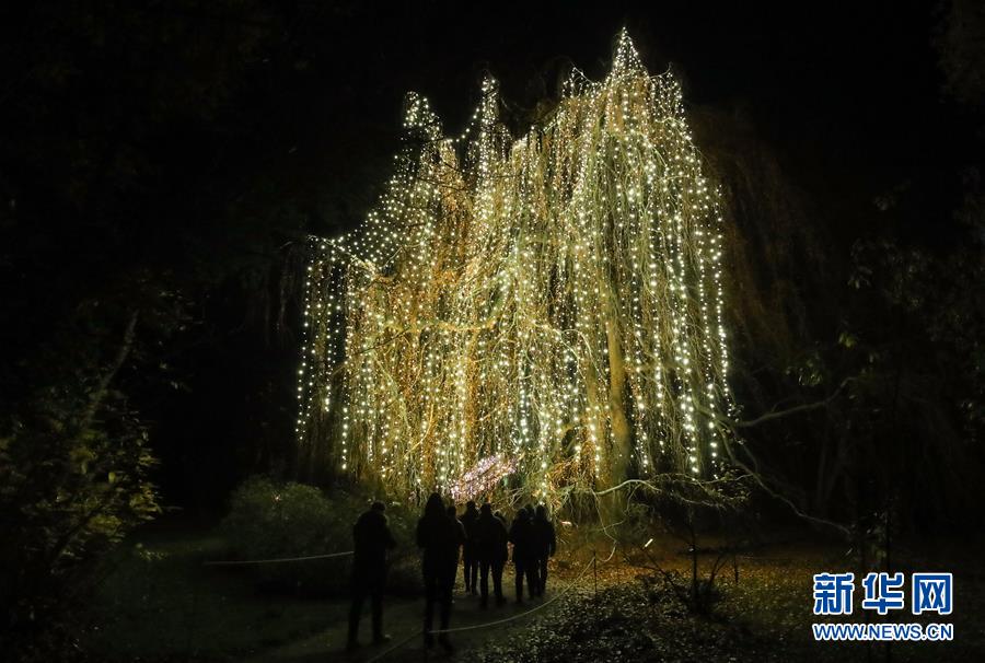 （國(guó)際）（1）“柏林圣誕花園”燈光秀開幕