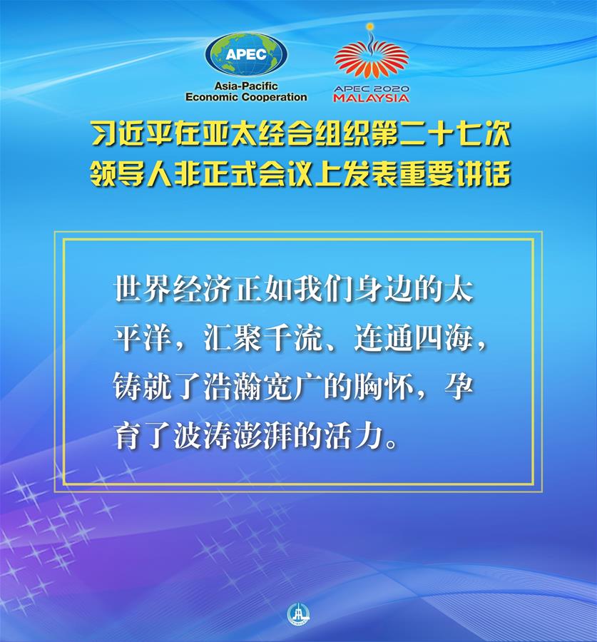 （圖表·海報）［外事］習近平出席亞太經合組織第二十七次領導人非正式會議并發(fā)表重要講話（5）