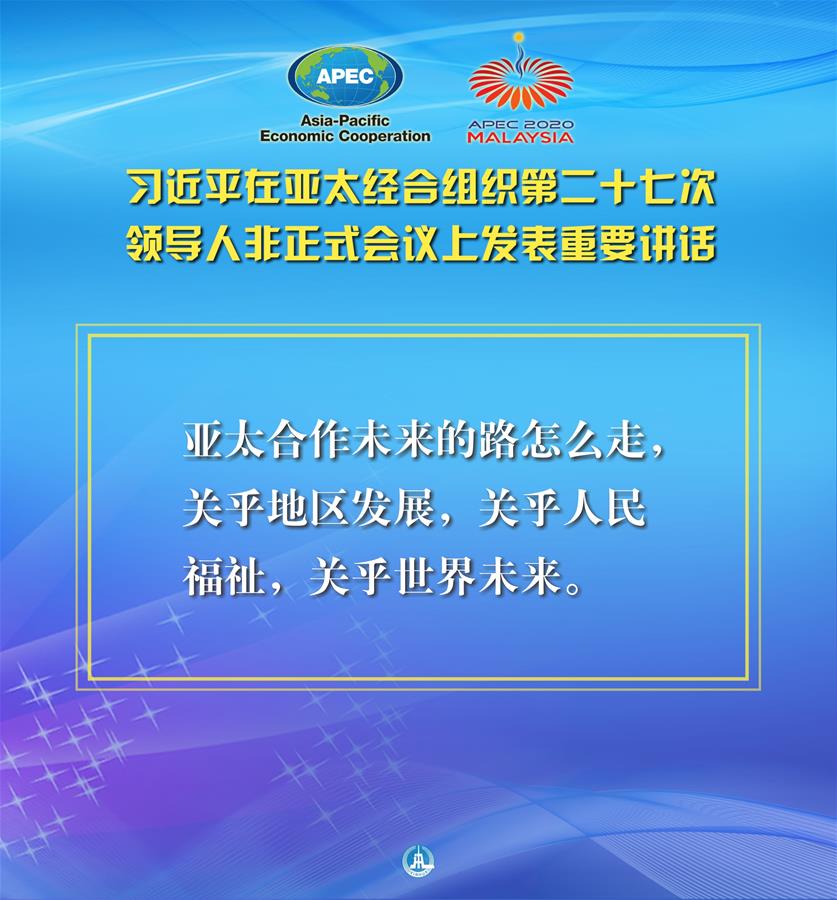 （圖表·海報）［外事］習近平出席亞太經合組織第二十七次領導人非正式會議并發(fā)表重要講話（3）