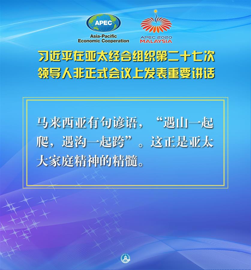 （圖表·海報）［外事］習近平出席亞太經合組織第二十七次領導人非正式會議并發(fā)表重要講話（10）