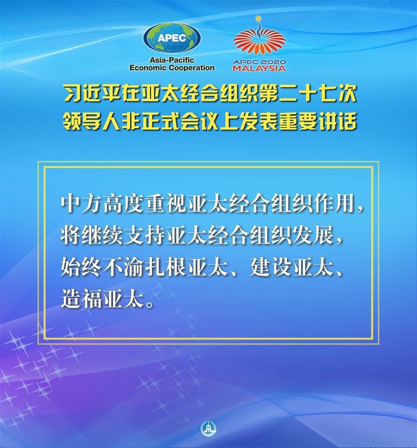 （圖表·海報）［外事］習近平出席亞太經合組織第二十七次領導人非正式會議并發(fā)表重要講話（11）