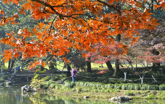 杭州太子灣公園秋意盎然惹人醉