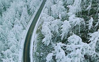 湖北現(xiàn)“林海雪原” 銀裝素裹風景如畫