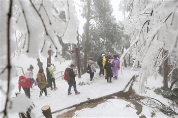 張家界迎降雪 景區(qū)銀裝素裹