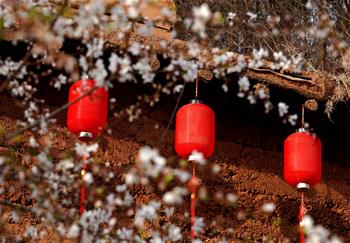 大山里的“愛和小鎮(zhèn)”：當(dāng)鄉(xiāng)村遇上藝術(shù)